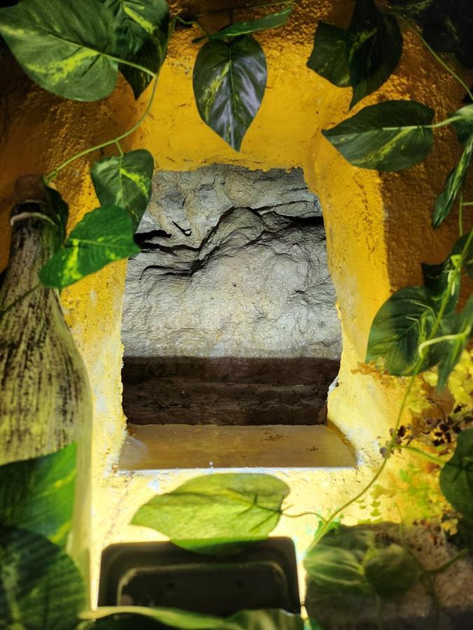 Apartamento Casita Zamudio Setenil De Las Bodegas Exterior foto